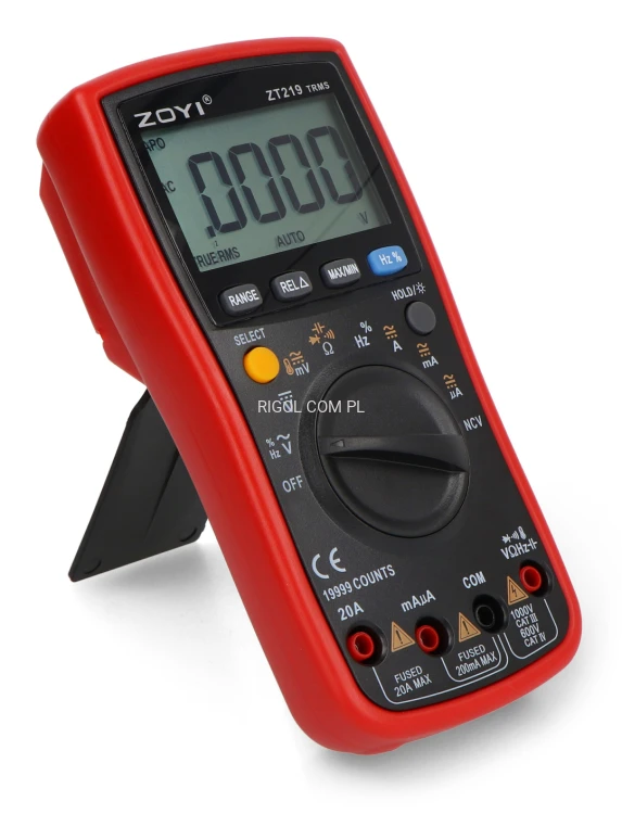 ZT219_3.jpg